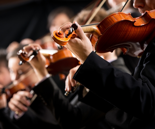 a violin player performs with an orchestra