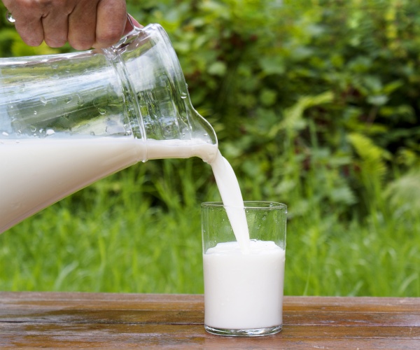 person pouring fresh milk from a pitcher into a glass