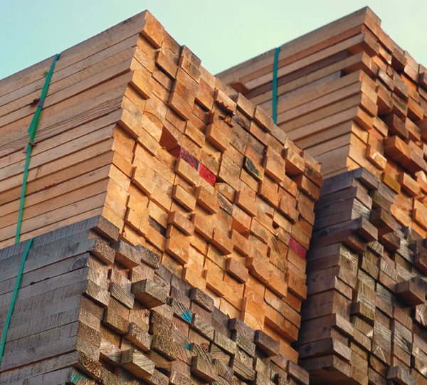 Trump Adds Lumber to List of Goods Facing Tariffs