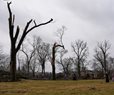 Severe Storms Whip up Tornadoes in Illinois, Indiana