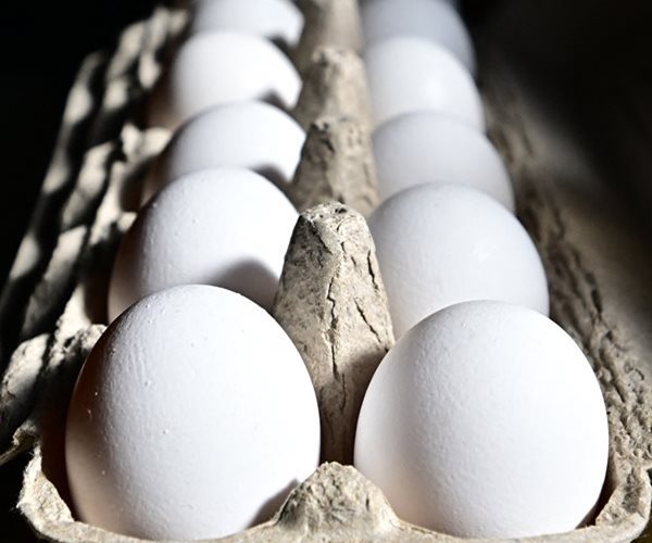 USDA: Egg Prices Could Jump 40% This Year