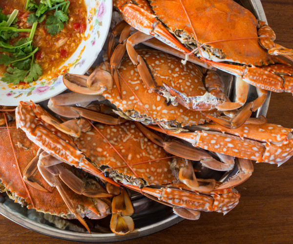 seafood on the eastern shore of the united states 