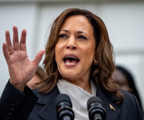 Harris Condemns Flag Burning, Hamas Graffiti at Protest in Washington