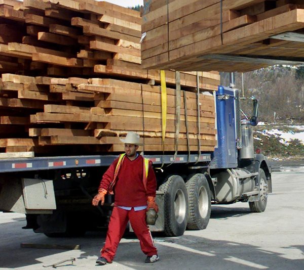 Trump Orders Tariff Probe Into US Lumber Imports