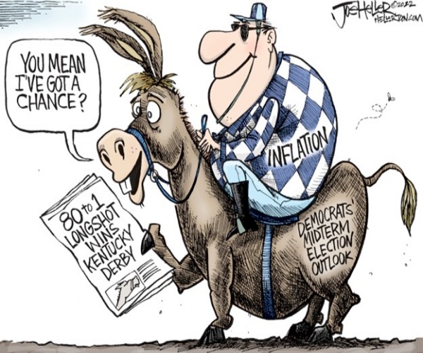 Midterms Race by Joe Heller