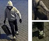 FBI Makes Arrest in J6 Eve Pipe Bomb Case: Source