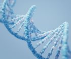 Genetics Accounts for up to 55% of Life Expectancy