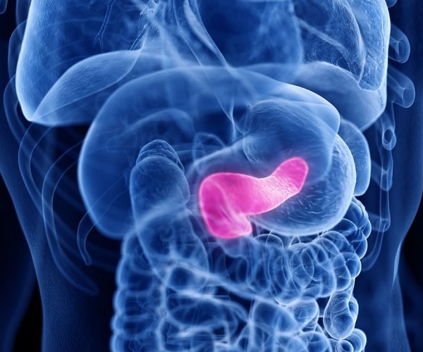 illustration of organs in body with pancreas highlighted