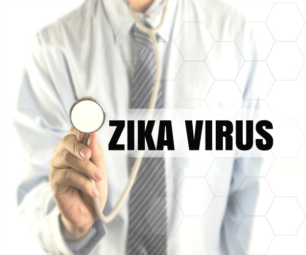 Natural Antibodies Could Lead to Zika Vaccine