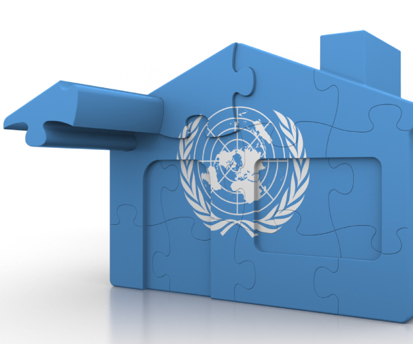 a puzzle in the shape of a house and the pattern of the un flag