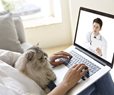 Telehealth Spurs Rise in Abortions Despite State Bans