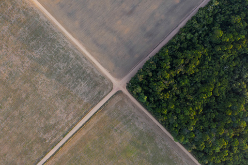 Brazil Soy Industry Exit From Amazon Moratorium Raises Deforestation Fears