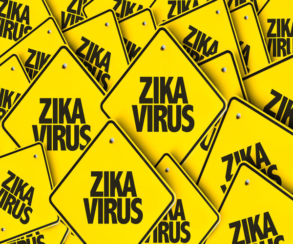 Experimental Zika Vaccine Protects Mice