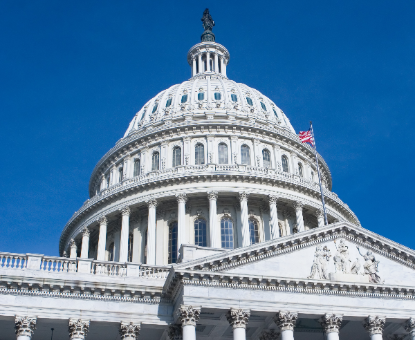 House Passes Bill to Require Proof of US Citizenship for Midterm Voters