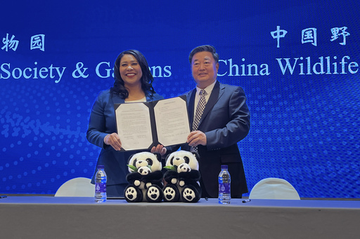 San Francisco Mayor Announces the City Will Receive Pandas from China