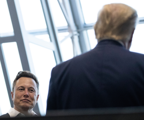 elon musk and donald trump