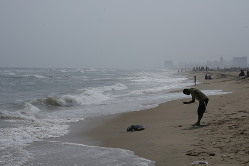 Authorities Ramp up Efforts to Protect Sea Turtles as Deaths on India's Shores Continue to Mount