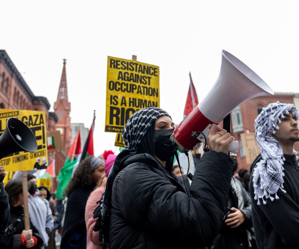 pro-palestinian supporters gather