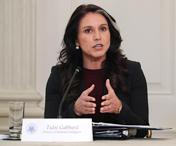 DNI Tulsi Gabbard Fires Back at Dem Sen. Mark Warner, 'Propaganda Media'