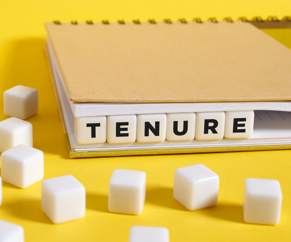 the word tenure written on cubes in a notebook