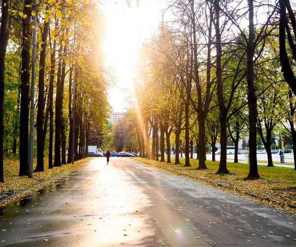 person out for a walk in the morning