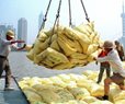 China Restricts Fertilizer Exports, Further Crimping War-Tightened Supply