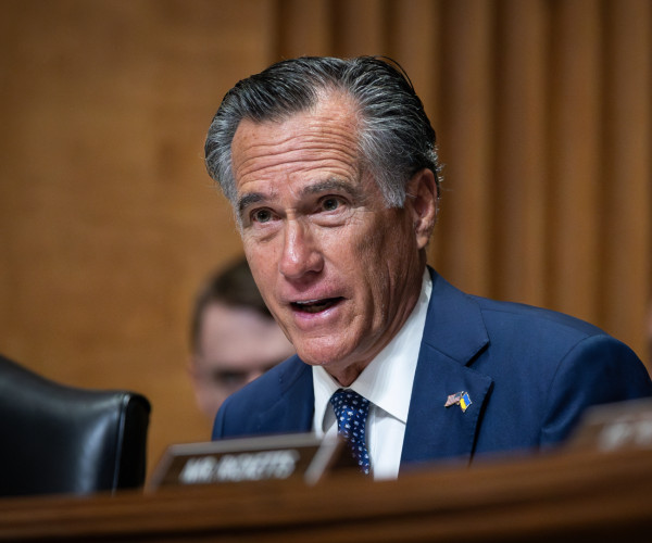 united states senatorial politics policy and united states budget 