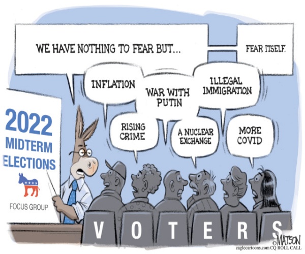 Democrats Fear Midterm Elections by R.J. Matson