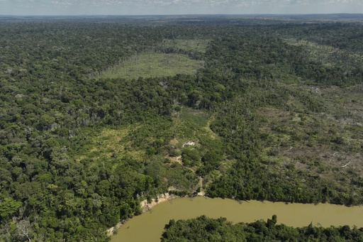 Deforestation in Brazil's Amazon Drops by Nearly 31% Compared to Previous Year