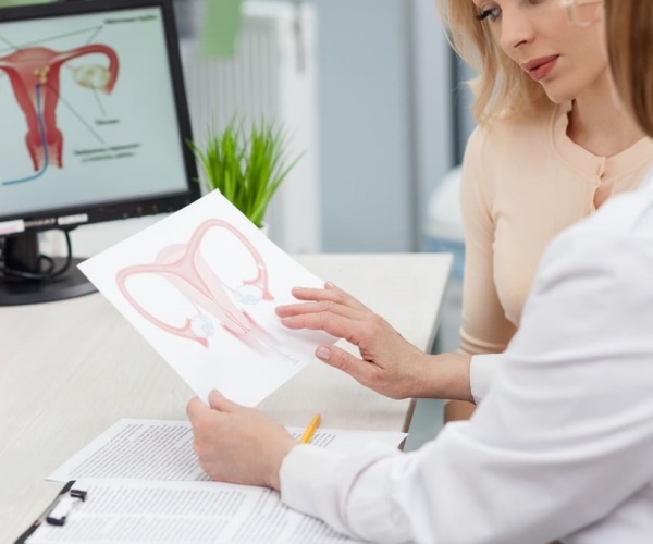 woman reviewing illustration of a female reproductive system with doctor