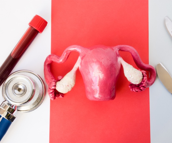 model of ovaries, etc. and a vial of blood