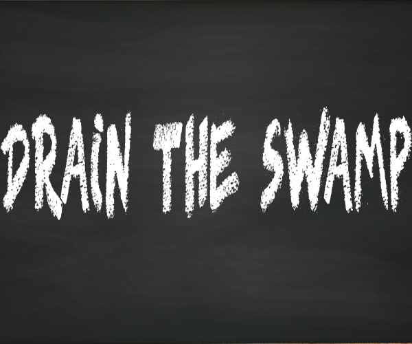 drain the swamp written on a blackboard