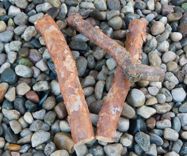 quote stick and stones may break my bones but words will never hurt me 