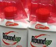 MAHA Warns Trump Support Could Erode Over Glyphosate Move
