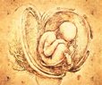 Abortion Industry Imploding