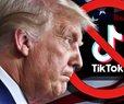 Trump: TikTok's Future 'Ultimately Goes Up to Me'