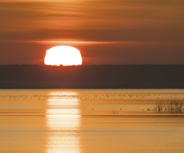 Finland Finds Drag Marks on Baltic Seabed After Cable Damage