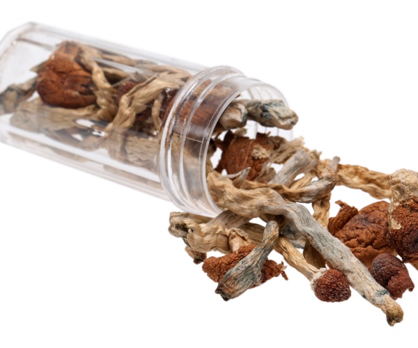 jar of magic mushrooms spilling out onto table