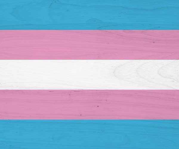 color stripes representing transgender people