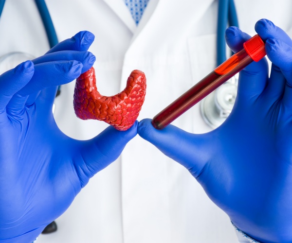 model of thyroid gland and a blood test for hormone levels