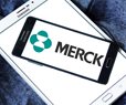 Merck Stops Trial of Skin Cancer Drug Combo