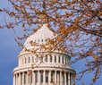 Senate Passes Bipartisan Housing Bill to Improve Access and Affordability