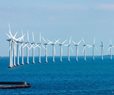 Offshore Wind Industry Seeks Compromise With Trump