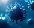 Two Animal Viruses Potential Global Health Threats
