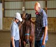 Caring for Horses Reduces PTSD Symptoms in Veterans