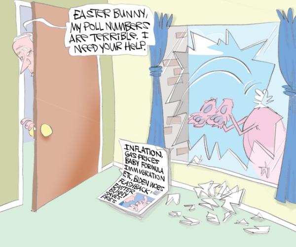 Biden Bunny Help by Gary McCoy