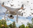 Let's Move Past Rampant Paranoia Against Drones