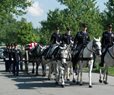 Army to End Most of Its Ceremonial Horse Programs