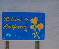 California Top Planned Destination State for 2025