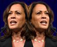 Harris an Unprincipled Political Chameleon